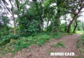 Rural estate for sale in Rianxo ref: TR12800 photo