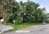 Rural estate for sale in Rianxo ref: TR12800 photo