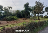 Rural estate for sale in Rianxo ref: TR12800 photo