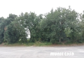 Rural estate for sale in Rianxo ref: TR12800 photo