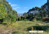 Finca rústica en venta en Santa Uxía de Ribeira ref: TR12799 foto