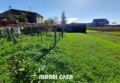 Land suitable for development for sale in Upper Boiro ref: TR12798 photo