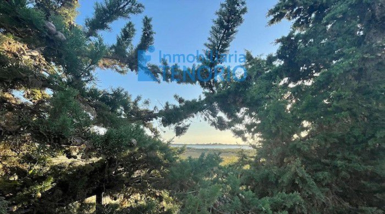 Huelva - Cartaya - 1140m2