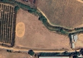 Rural estate for sale on España, Pinares de Lepe, ref: TR308125 photo