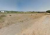 Rural estate for sale on España, Pinares de Lepe, ref: TR308125 photo