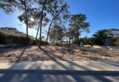 Land suitable for development for sale in Pinares de Lepe ref: TR323131 photo