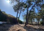 Land suitable for development for sale in Pinares de Lepe ref: TR323131 photo