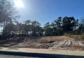 Land suitable for development for sale in Pinares de Lepe ref: TR323303 photo