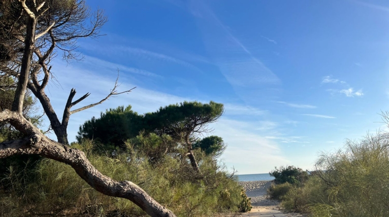 Huelva - Lepe - 451m2