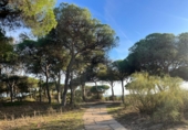 Отдельно стоящий дом с участком на продажу в городе Pinares de Lepe. Фото