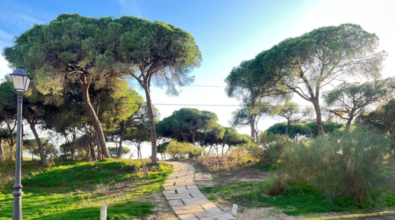 Huelva - Lepe - 451m2