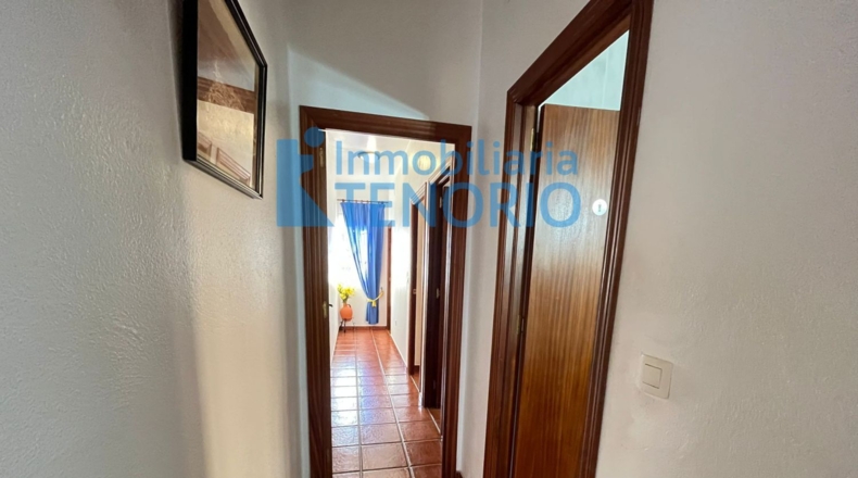 Huelva - Lepe - 451m2