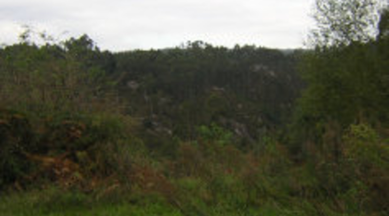 La Coruña - O Chao da Viña - 6000m2