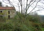 Finca rústica en venta en O Pazo de Irixoa ref: TR12792 foto
