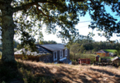 Finca rústica en venda a O Pazo de Irixoa ref.: TR18318 foto