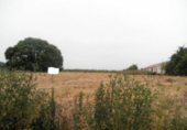 Non-developable land for sale in Abegondo ref: TR52946 photo