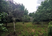 Xalet independent amb terreny en venda a Coirós de Abaixo ref.: TR18308 foto