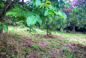 Foto 18