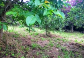 Xalet independent amb terreny en venda a Coirós de Abaixo ref.: TR18308 foto