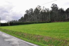 O Pazo de Irixoa 5046&nbsp;м²