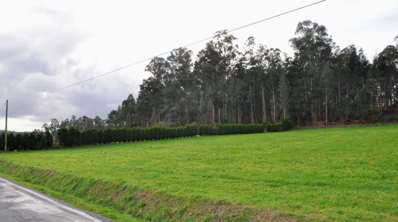 La Coruña - Catro Camiños - 5046m2