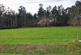 O Pazo de Irixoa 5046&nbsp;м²