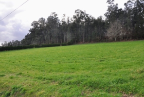 O Pazo de Irixoa 5046&nbsp;м²