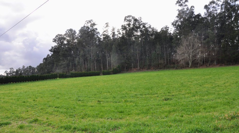 La Coruña - Catro Camiños - 5046m2