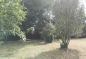 Rural estate for sale in Oza ref: TR12788 photo
