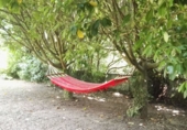 Rural estate for sale in Oza ref: TR12788 photo