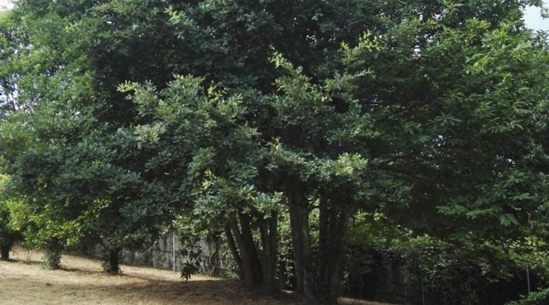 La Coruña - Soocamiño - 6070m2