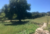 Casa de campo con terreno en venta en Ponte Aranga ref: TR18296 foto