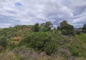 Finca rústica en venta en la España, Campo-Mijas, ref: TR106243 foto