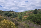 Finca rústica en venta en la España, Campo-Mijas, ref: TR106243 foto