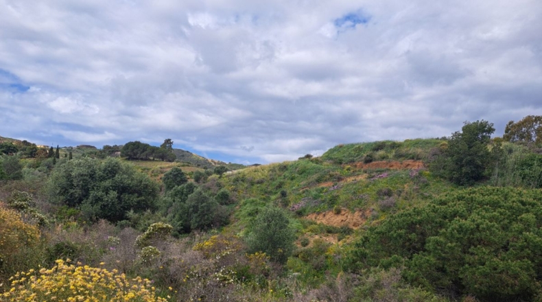 Málaga - Mijas - 140747m2