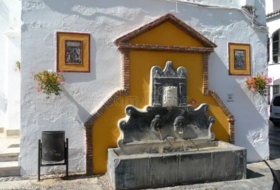 Foto 19