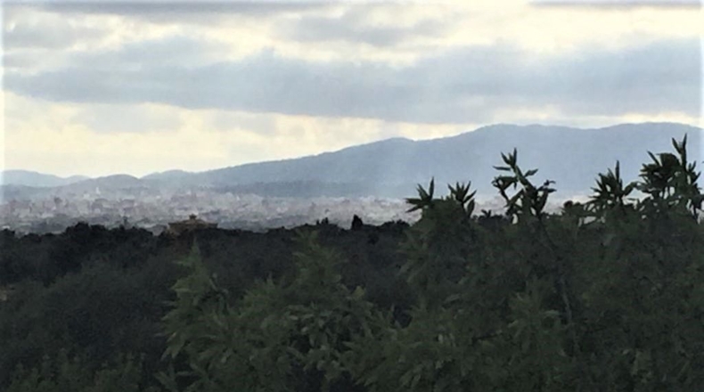 Islas Baleares - Pòrtol Nou - 14300m2