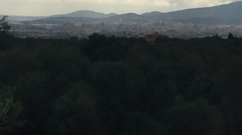 Islas Baleares - Pòrtol Nou - 14300m2