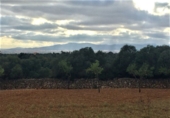 Rural estate for sale in es Pont d'Inca ref: TR29849 photo