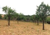 Rural estate for sale in es Pont d'Inca ref: TR29849 photo