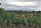 Rural estate for sale in es Pont d'Inca ref: TR29849 photo