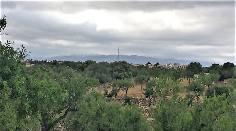 Islas Baleares - Pòrtol Nou - 14300m2