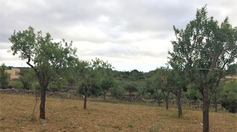 Islas Baleares - Pòrtol Nou - 14300m2
