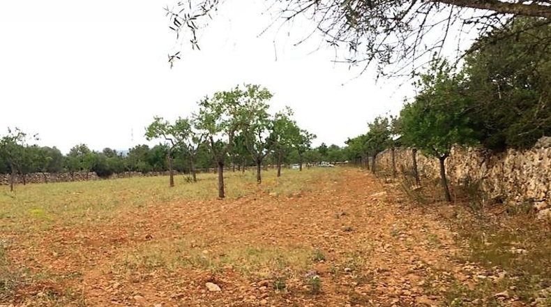 Islas Baleares - Pòrtol Nou - 14300m2
