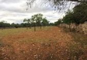 Rural estate for sale in es Pont d'Inca ref: TR29849 photo