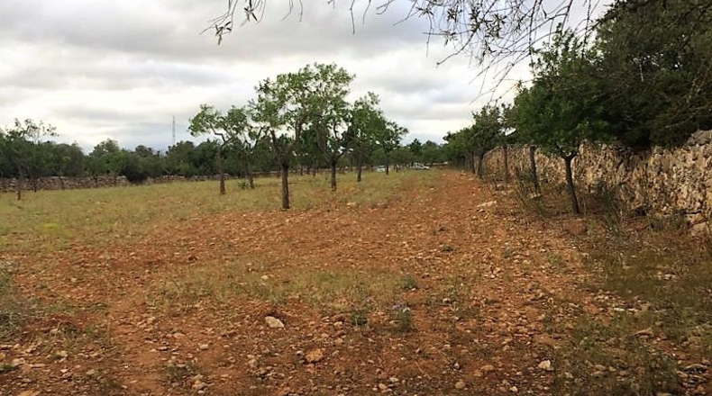 Islas Baleares - Pòrtol Nou - 14300m2
