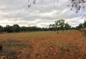 Rural estate for sale in es Pont d'Inca ref: TR29849 photo