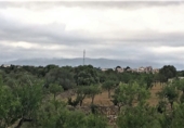 Rural estate for sale in es Pont d'Inca ref: TR29849 photo