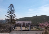 Masía con terreno en venta en Altura ref: TR21747 foto