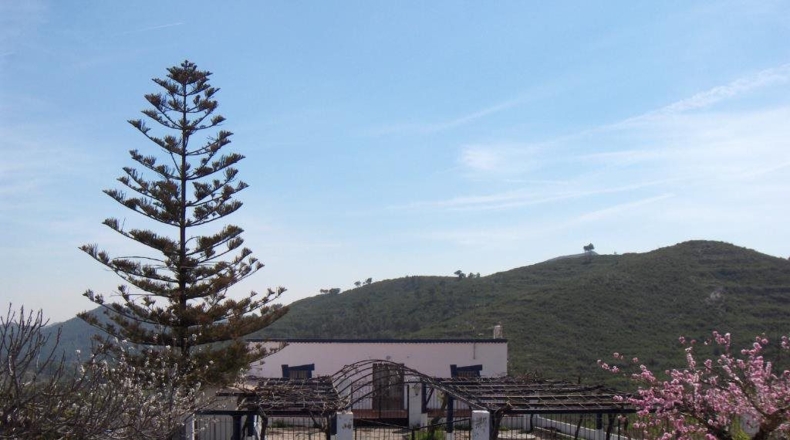 Castellón - Convento - 1000m2